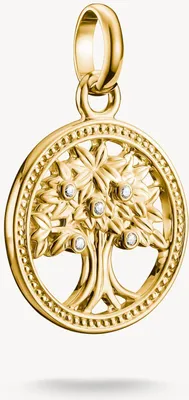Produktbild von Thomas Sabo Charm Club Connect CC1262-414-14 Charm Anhänger