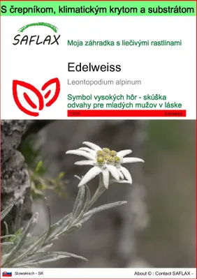 Obrázok produktu pre SAFLAX Garden to go - Edelweiss - Leontopodium alpinum - 500 Semená - S črepníkom, klimatickým vekom a pestovateľským substrátom