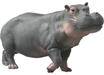 Obrázek produktu pro schleich WILD LIFE 14938, 3 rok/roky, Vícebarevný, Plast