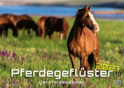 Produktbild von Pferdegeflüster - Der Pferdekalender - 2027 - Kalender DIN A2