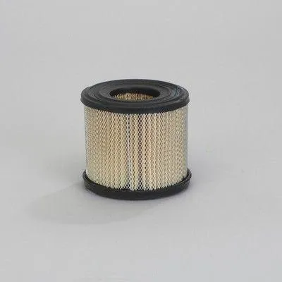 Produktbild von DONALDSON Luftfilter P606290 zur Reinigung der Ansaugluft von Motoren