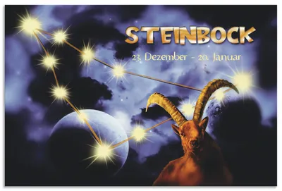 Produktbild von ARTland Wandbild Alu für Innen & Outdoor Sternzeichen - Steinbock Größe: 30x20 cm
