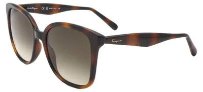 Produktbild von Ferragamo SF1072S Tortoise 56/19/140 Damen Sonnenbrillen