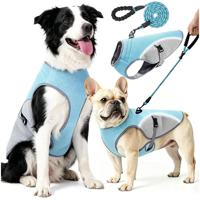 Produktbild von Kühlweste für Hunde mit 2 m Leine,Reflektierende atmungsaktive Kühljacke für kleine und große Hunde, ideal für Sommer,Outdoor-Aktivitäten und Training
