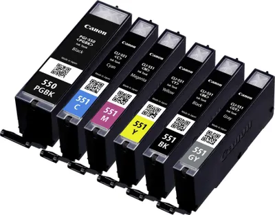 Image de Canon PGI-550/CLI-551 PGBK/C/M/Y/BK/GY Multi Pack