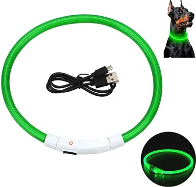 Produktbild von Apt Verstellbares Led-Halsband Grün