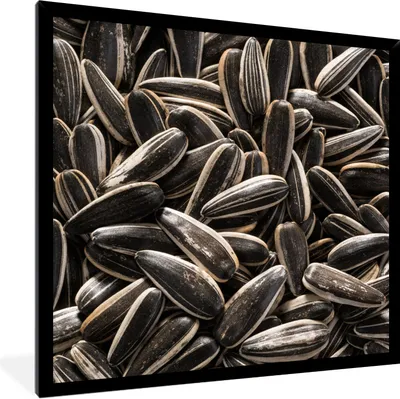 Produktbild von MuchoWow® Gerahmtes Poster Nahaufnahme von schwarzen Sonnenblumenkernen 40x40 cm - Poster mit Schwarzem Bilderrahmen Wandposter Rahmen Foto Bilder - Mit Rahmen - Wanddekoration Schlafzimmer
