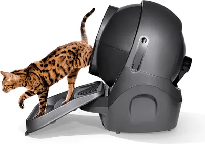 Obrázok produktu pre Kroky pre Litter-Robot 3 Open Air Ramp dark
