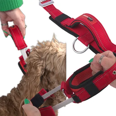 Produktbild von Hundetrainingshalsband mit Griff und kurzer Leine