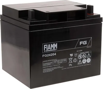 Image de FIAMM Batterie au plomb rechargeable FG24204 Vds