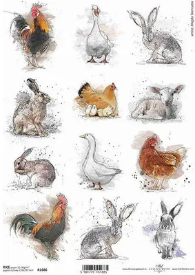 Produktbild von ITD Reispapier Decoupage Bastelpapier Softpapier, R1686 Hahn, Henne, Hase, Hase, Ostern