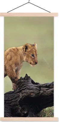 Produktbild von MuchoWow® Textilposter Löwe - Rüssel - Junge 60x120 cm mit holzfarbenen Rahmen - Holz