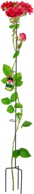 Produktbild von Rosen-Pflanzenstütze - Metall-Rankhilfe - Höhe 140 cm - Für Blumenbeet - Stützstab