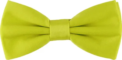 Produktbild von Ladeheid Kinder Jungen Fliege MJ (10cm x 5cm)
