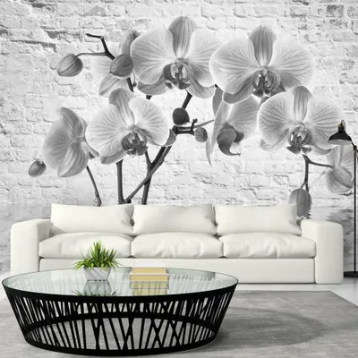Produktbild von Basera Fototapete Orchideenmotiv b-A-0228-a-d, Vliestapete, 100x70 cm