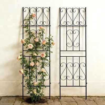 Image de Support de jardin pour plantes grimpantes - Acier inoxydable - 180 x 50 cm