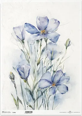 Immagine prodotto di Carta di riso per decoupage carta artigianale per decoupage A3 ITD-1308L Fiori d'estate