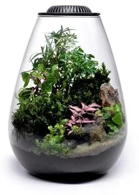 Productafbeelding van Wabi Kusa  Bowl 175 Black met LED 17,5 x 23 cm plantterrarium