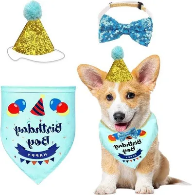 Produktbild von Hundefesttagsbandana mit süßem Geburtstagskappe für Hunde und Katzen - Blau - Haustierbedarf