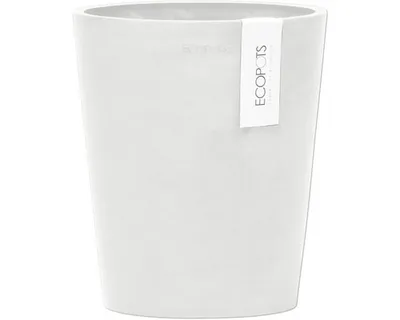 Produktbild von Orchideenvase Orchideentopf Ecopots Morinda Orchidee Kunststoff Ø 17 cm H 19,5 cm weiß