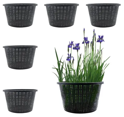 Productafbeelding van Elzusha - Set van 6 Hydroponische Netpotten voor Aquatische Planten