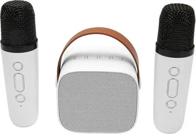 Produktbild von Portable Bluetooth Karaoke Set mit 2 Drahtlosen Mikrofonen, Geeignet für Kinder und Erwachsene, Handlicher Mikrofon für Familienbesprechungen und Karaoke
