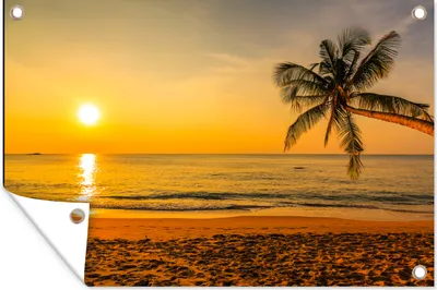 Produktbild von MuchoWow® 90x60 cm Outdoor-Poster Gartendeko Sichtschutz Garten Poster für den Garten  Palme - Strand - Sonnenuntergang - Meer