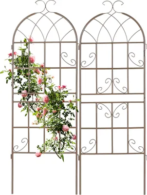 Immagine prodotto di Relaxdays Graticcio, set da 2 pezzi, metallo, A x L 150 x 50 cm, supporto autoportante per piante rampicanti, traliccio per rose, marrone