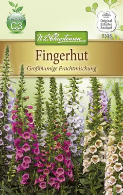 Produktbild von Fingerhut Großblumige PrachtMischung | Fingerhutsamen von N.L. Chrestensen