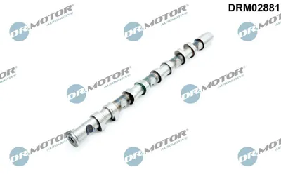 Obrázek produktu pro DR.MOTOR AUTOMOTIVE DRM02881 Výfuková vačková hřídel pro VW Golf V hatchback (1K1), Passat Variant (3C5), Golf V Variant (1K5), Passat sedan (3C2) a Eos
