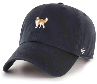 Produktbild von '47 Brand Cap Dog Base Runner Icon ’47 CLEAN UP Black