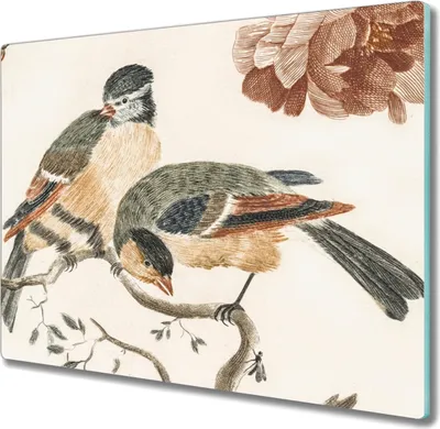 Produktbild von Coloray Hackbrett Küchenbrett Kochplattenabdeckung Schneidebrett Herdabdeckplatte 60x52 cm - Tiere Vögel Blumen
