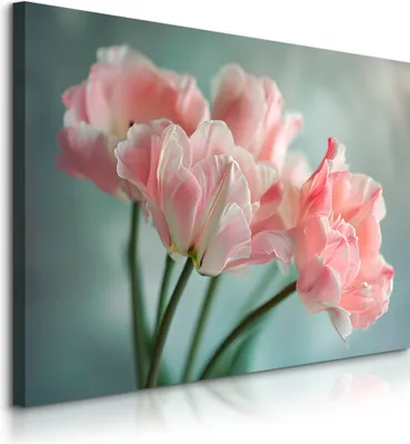 Immagine prodotto di Muralo Quadro su tela per soggiorno FIORI Tulipani Natura 3D L. 40 cm x A. 30 cm