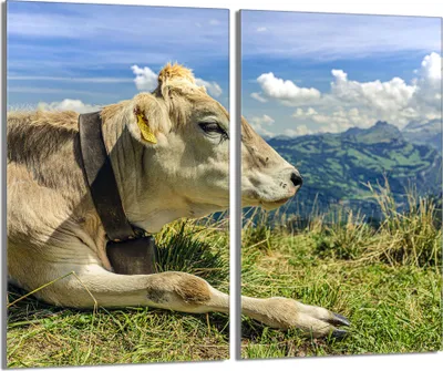 Produktbild von Glasschutzplatte für den Herd 2x30x52 Kuh
