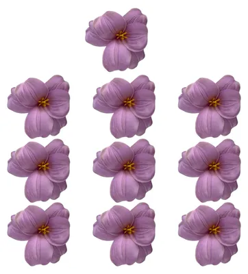 Produktbild von 10 künstliche Phalaenopsis-Blütenköpfe aus Seide, künstliche Orchideenköpfe für Hochzeitssträuße, DIY-Bastelarbeiten