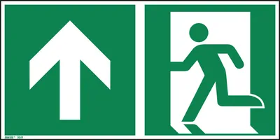Produktbild von Hinweisschild Notausgang geradeaus ISO 7010 300x150mm PVC