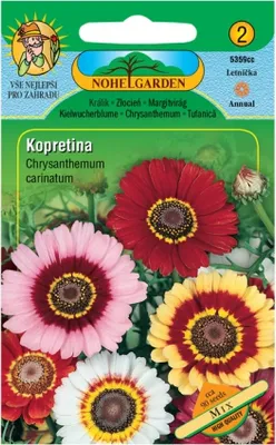Obrázek produktu pro Kopretina kýlnatá, směs