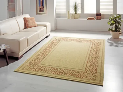 Produktbild von 1 Teppich Clara 62441 BordÃ1/4re Fb.336212-terra 160/230 cm* 160x230