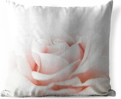 Produktbild von MuchoWow® Outdoor Kissen - Nahaufnahme der Blätter einer rosa Rose - 40x40 cm - Wetterfest - Lounge Kissen - Kopfkissen - Interieur - Polster mit Bild
