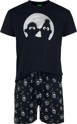 Produktbild von Sesame Street Schlafanzug Herren Ernie und Bert - Moonlight multicolor XXL