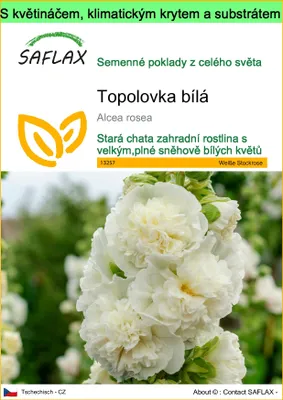 Obrázek produktu pro SAFLAX Garden to go - Topolovka bílá - Alcea rosea - 100 Semena - S květináčem, klimatickou poklicí a pěstebním substrátem