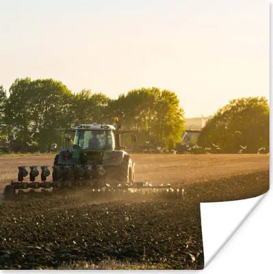 Produktbild von MuchoWow® Poster Traktor - Vogel - Land 50x50 cm - Wohnzimmerdekoration