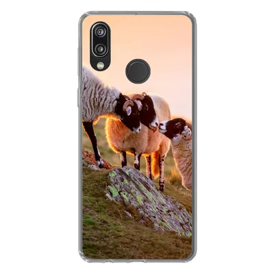 Produktbild von MuchoWow® Handyhülle Schutzhülle Hülle für Huawei P20 Lite (2020) Schafe - Tiere - Sonnenuntergang Silikon Softcase Handy Hülle - Kartenhalter