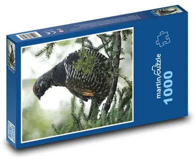 Zdjęcie produktu dla martinpuzzle - Puzzle 1000 - Pták - głuszec