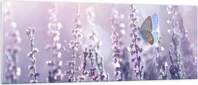 Produktbild von Bilder auf glas - Schmetterling Wiese Blume - 140x50cm - Glasbilder - Wandbilder - Kunstdruck - zum Aufhängen bereit - Wanddekoration aus Glas - Glas Bilder - Wandbild auf Glas - GAB140x50-4014