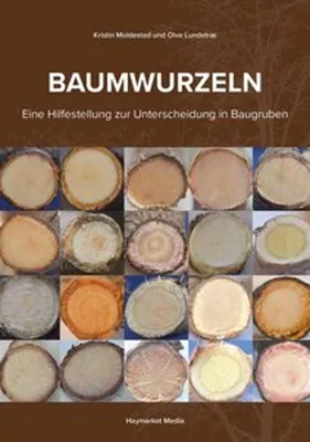 Image de Baumwurzeln