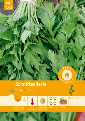 Produktbild von Schnittsellerie Gewone Snij | Selleriesamen von Carl Pabst