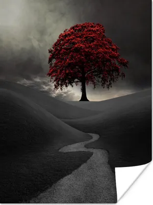 Produktbild von MuchoWow® Poster Ein Schwarz-Weiß-Foto mit einem großen roten Baum 120x160 cm - Wandbilder