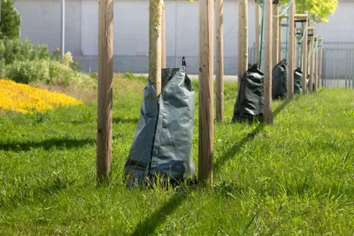 Image de Sac d'irrigation pour arbres avec fermeture éclair Sac d'irrigation pour arbres Sac d'irrigation pour arbres Système d'irrigation vert
