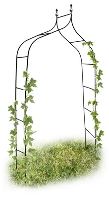 Produktbild von Rosenbogen Rankbogen Gartenbogen - Doppelspitz - 240 cm - Metall - Grün